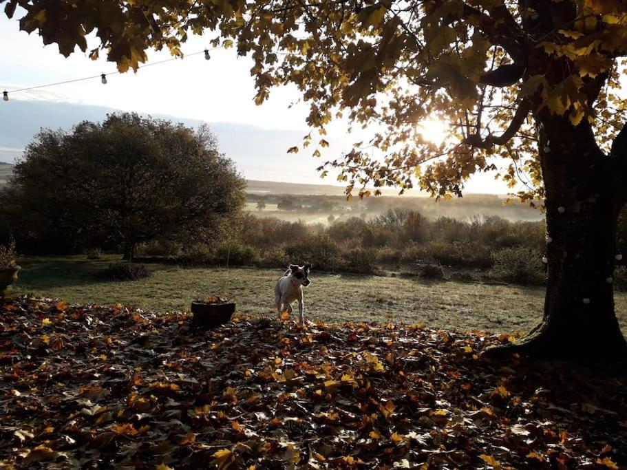 Maison De Bois En Pleine Nature A 20 Min De Beaune * Montceau-et-Echarnant